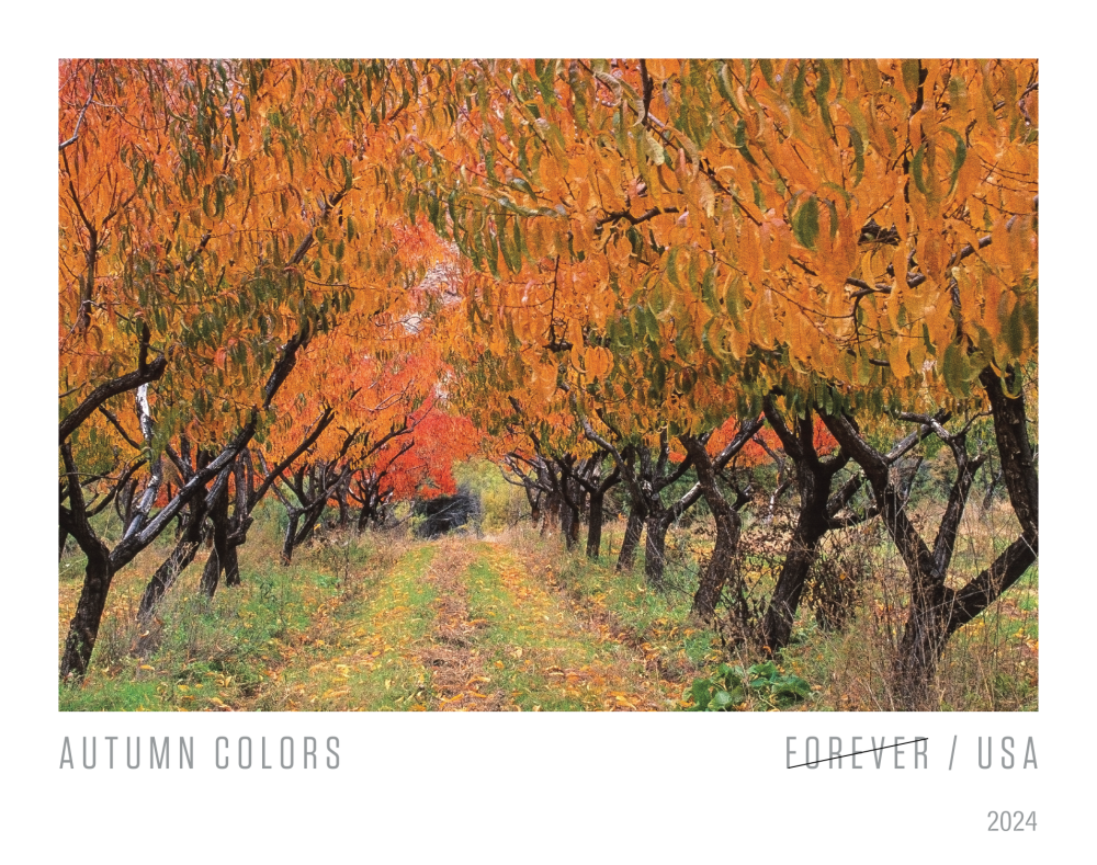 2024 Autumn Colors Stamps