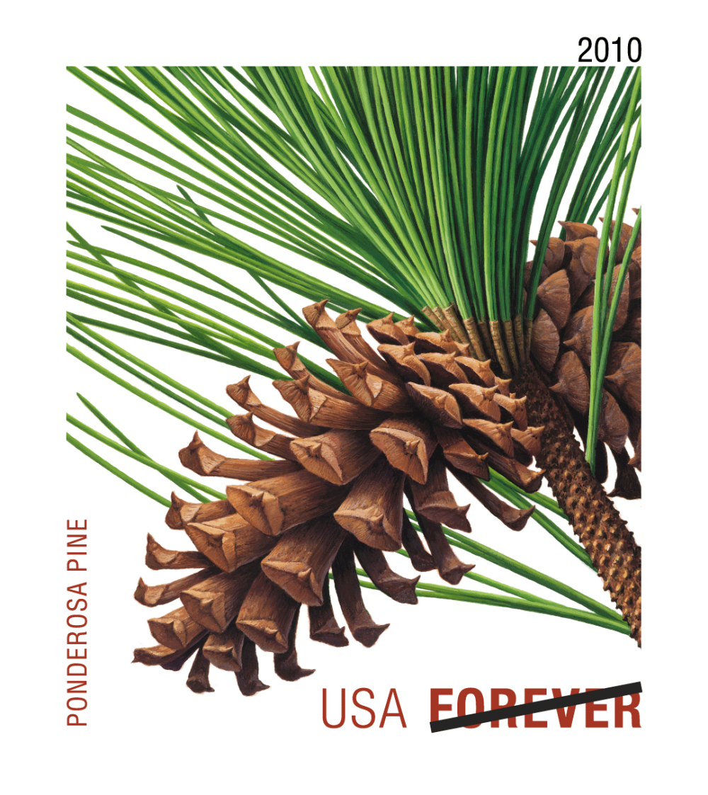 2010 Evergreens Stamps