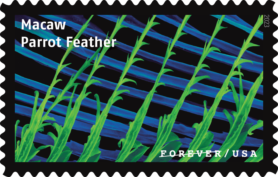 2023 Life Magnified Stamps