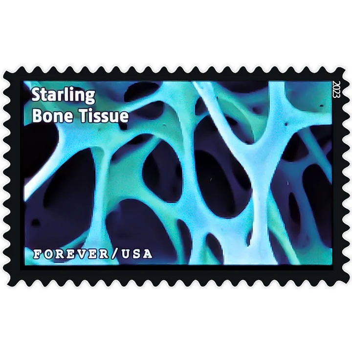 2023 Life Magnified Stamps