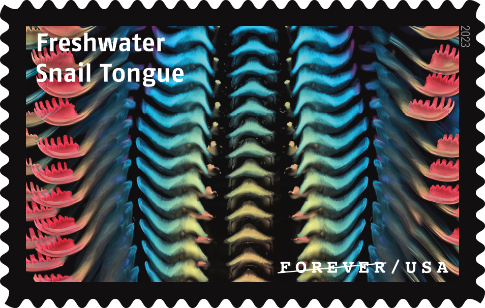 2023 Life Magnified Stamps