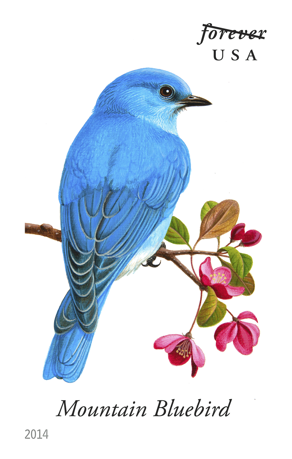 2014 Song Birds Stamps