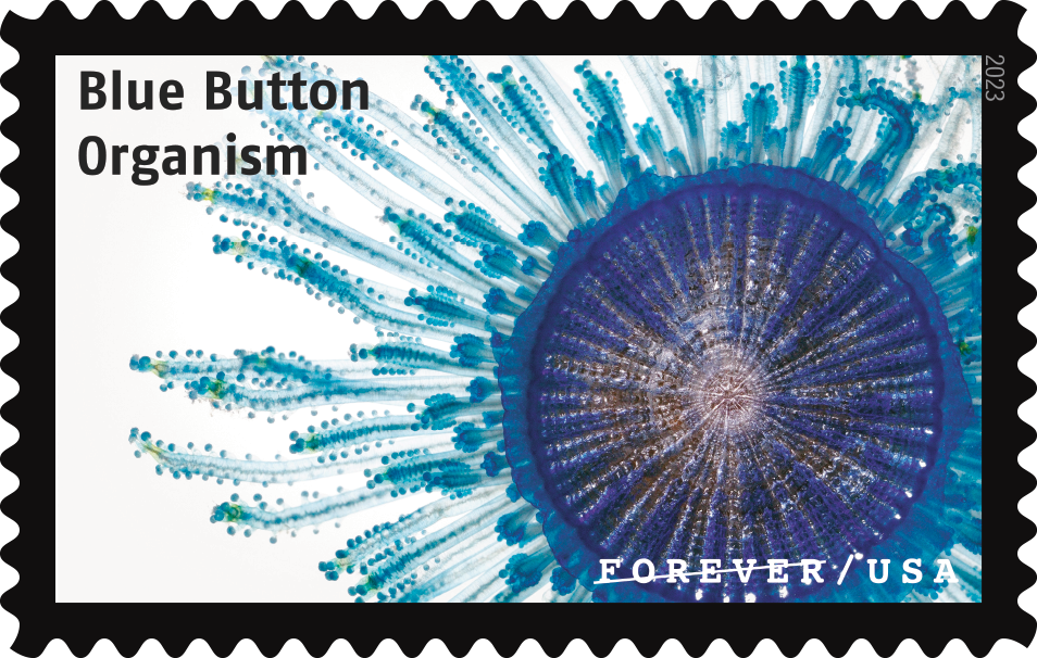 2023 Life Magnified Stamps