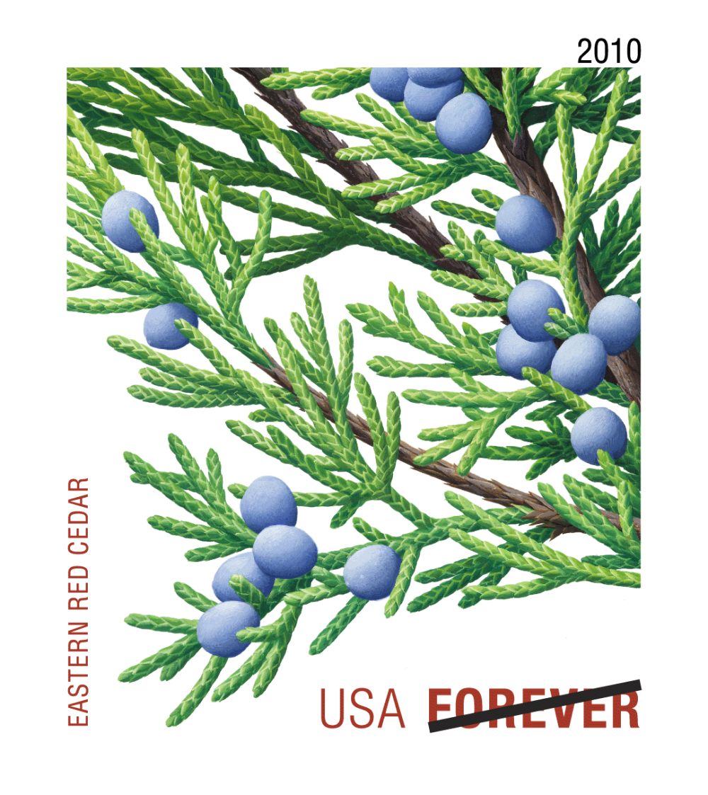 2010 Evergreens Stamps